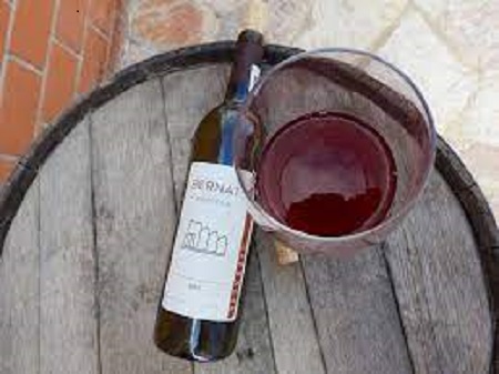 vino producido en bernat