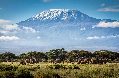 conquista el kilimanjaro