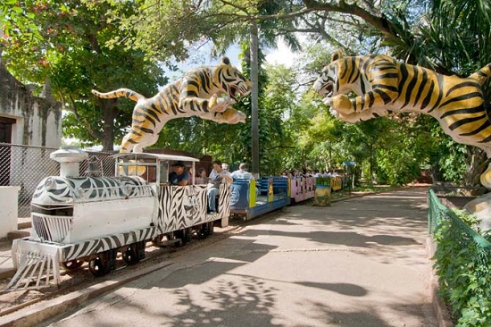 zoolgico centenario, mrida yucatn