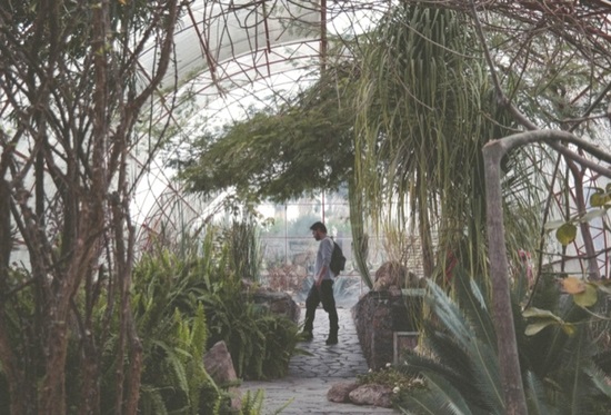 jardn botnico en san miguel de allende