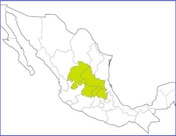el bajio en la independencia de mxico