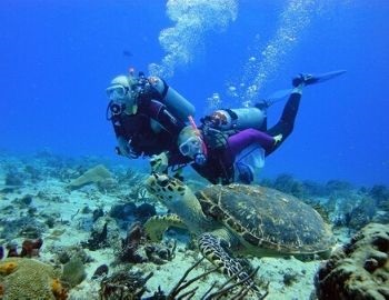 el buceo es un deporte extremo