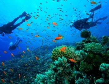 el buceo es un deporte extremo