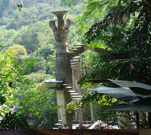 flora existente en san luis potos