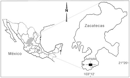 ubicacin