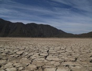 monzn mexicano contra la sequa