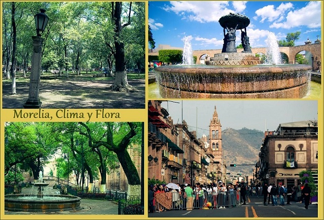 clima y flora de morelia