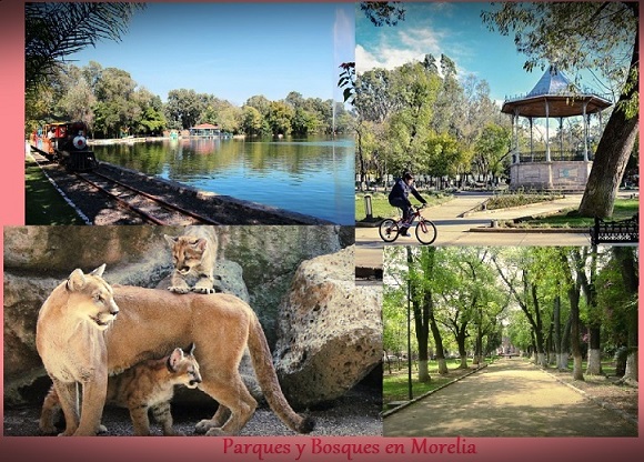 parques y bosques en morelia