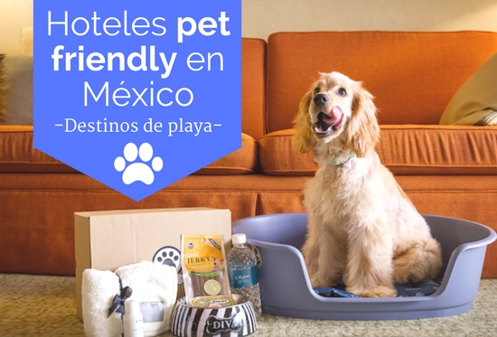 hoteles per friendly