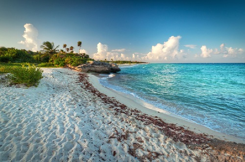 playa paraiso en la riviera maya