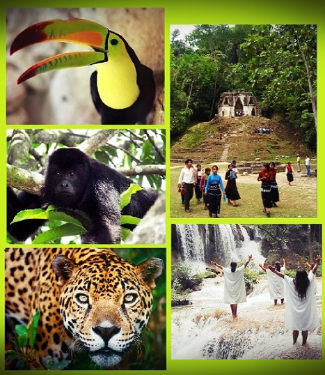 qu hacer en el pueblo mgico de palenque