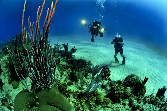 buceo en mar de puerto peasco