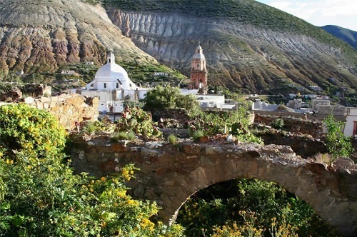 flora en real de catorce