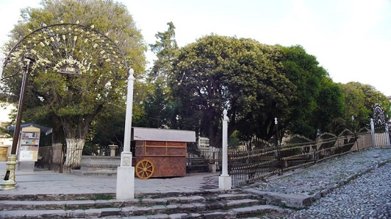 jardín hidalgo jardín hidalgo