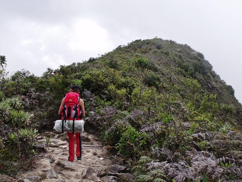 excursionismo en real de catorce