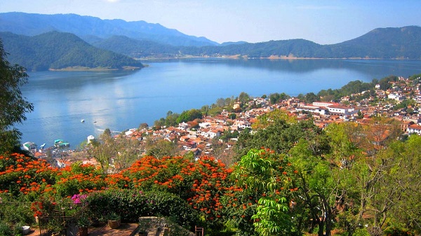 flora de valle de bravo